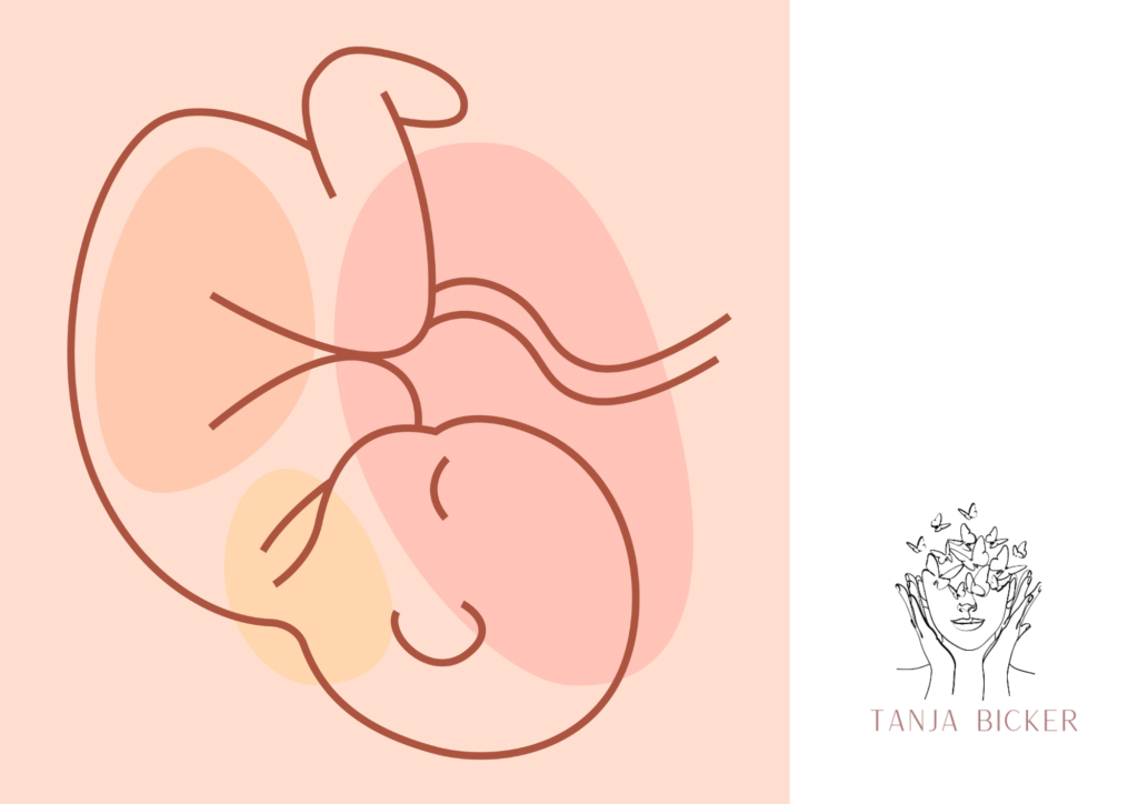 Schädellage beim Baby fördern – sanfte Unterstützung bei Beckenendlage und ungünstiger Kindslage mit Craniosacral Therapie und Schwangerschaftsyoga bei Tanja Bicker